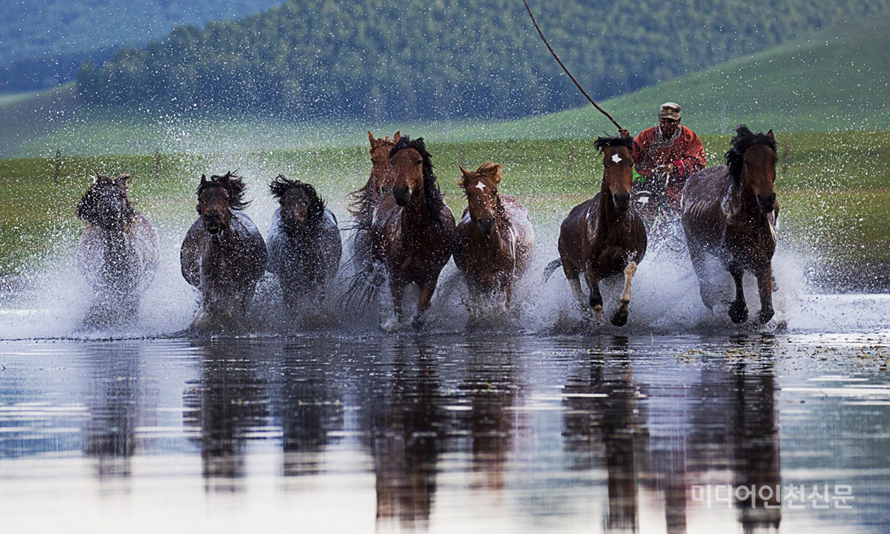 호수위를 달리는 말떼들..